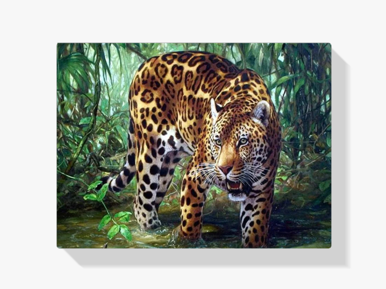 Leopard im Wasser Diamond Painting