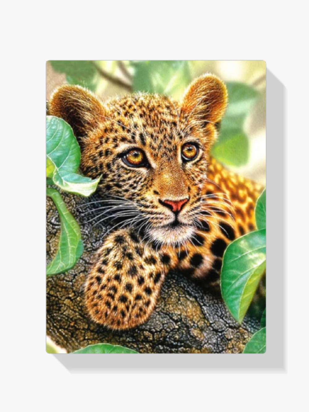 Leopardenjunge Diamond Painting