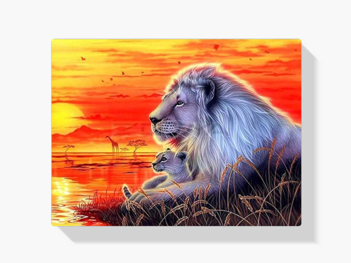 Löwen bei Sonnenuntergang Diamond Painting