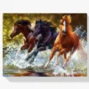 Pferde im Wasser Diamond Painting