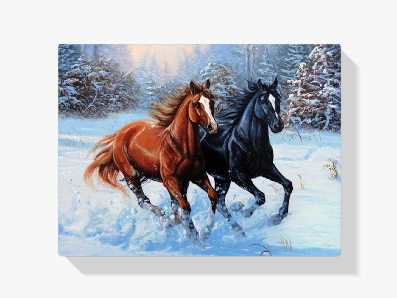 Pferde rennen im Schnee Diamond Painting