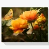 Schmetterling auf oranger Blüte Diamond Painting