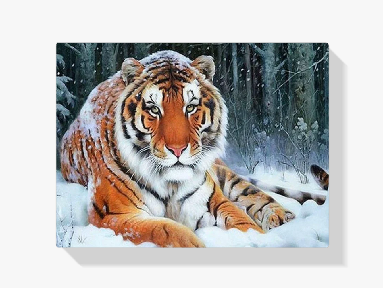 Schnee Tiger Diamond Painting