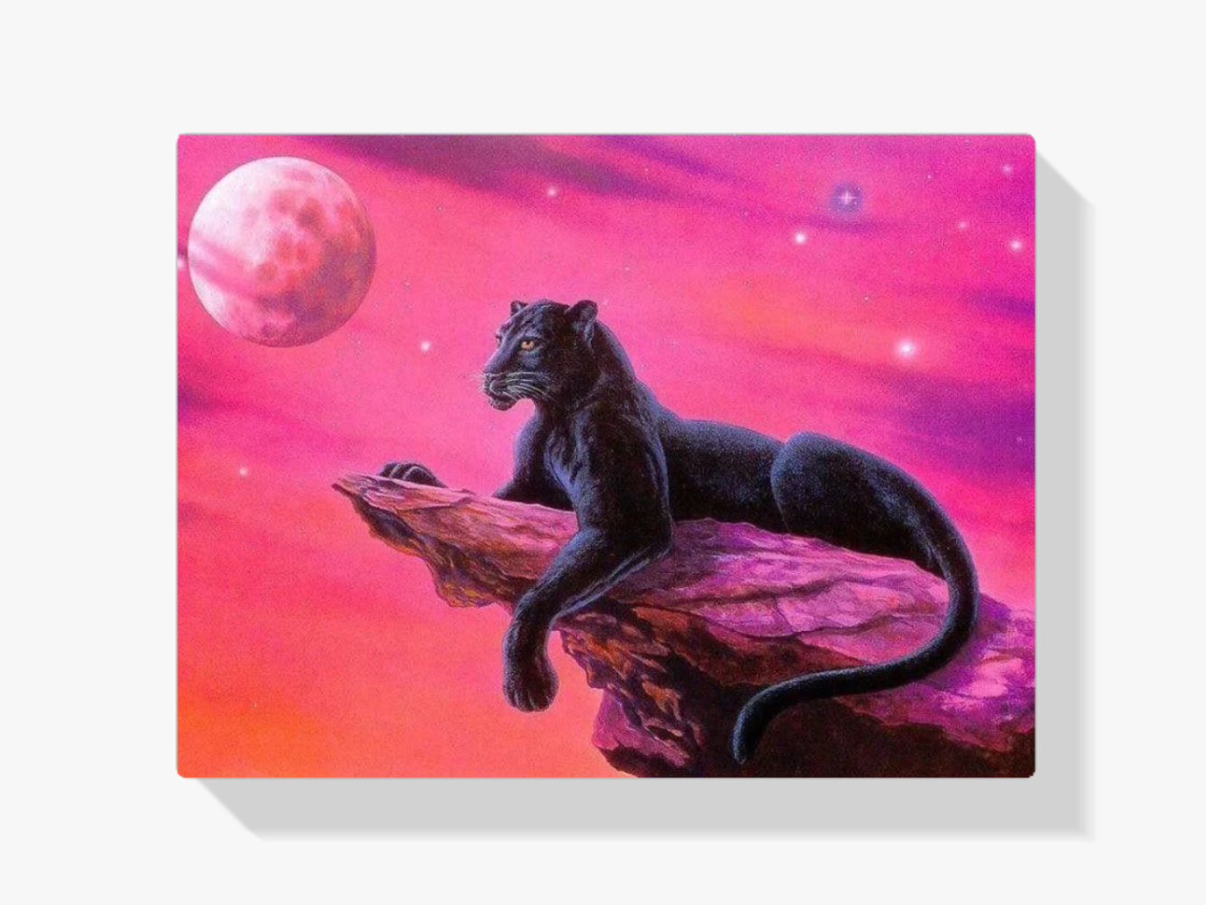 Schwarzer Panther auf einem Felsen Diamond Painting
