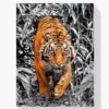 Tiger Diamond Painting