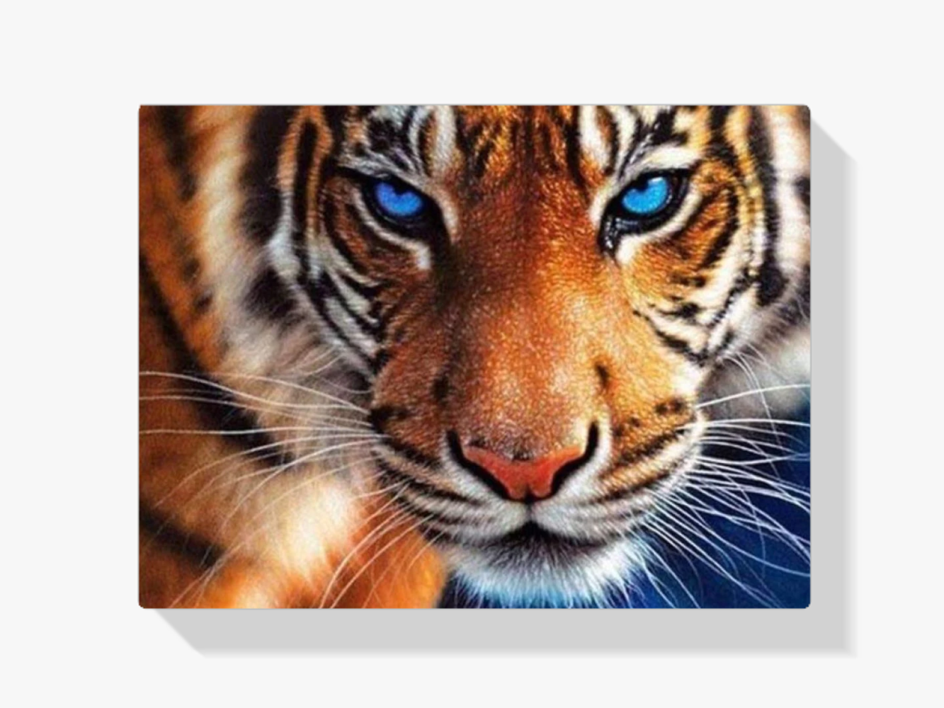 Tiger blaue Augen Diamond Painting