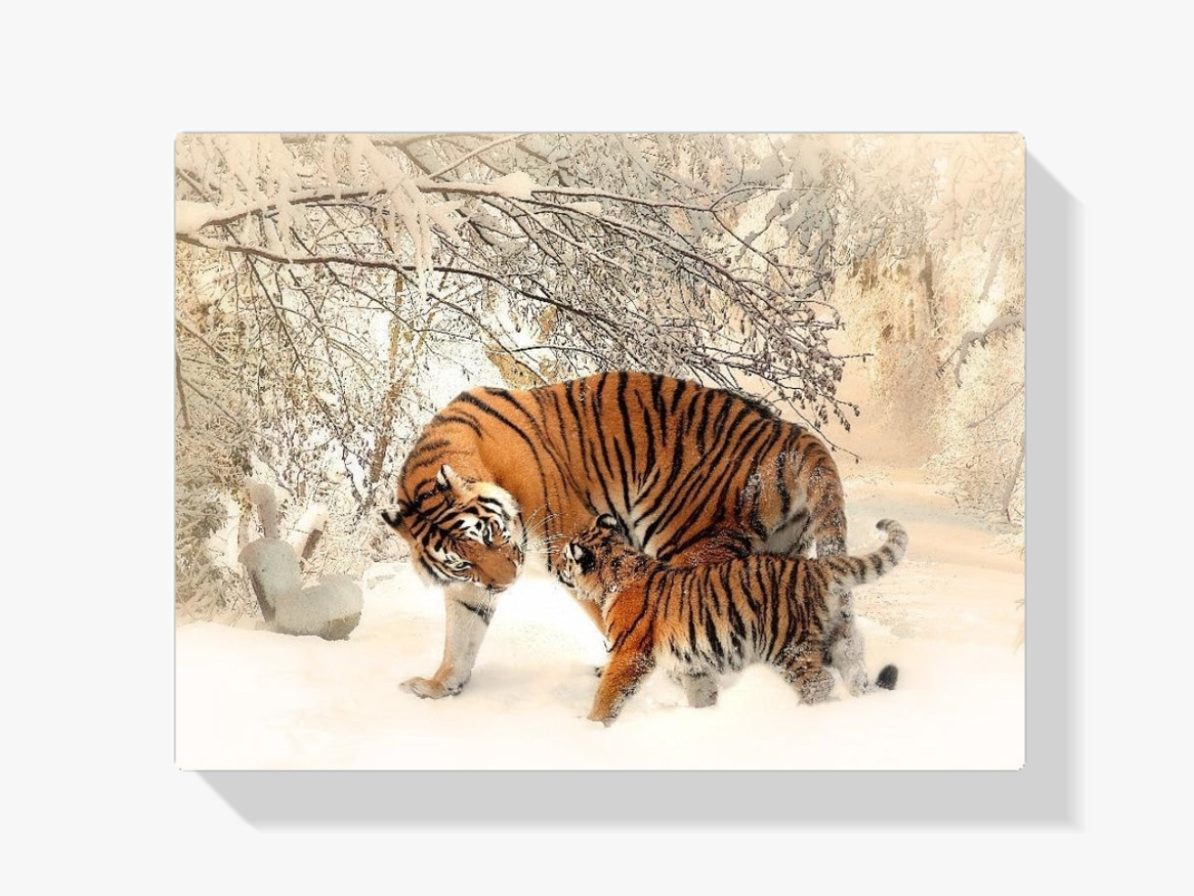 Tiger und Junge Diamond Painting