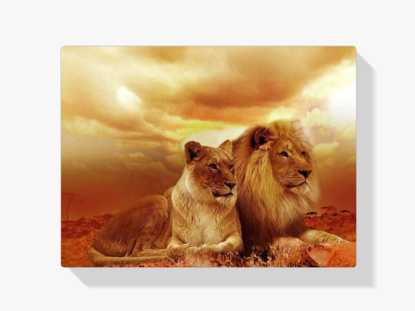 Zwei Löwen Diamond Painting